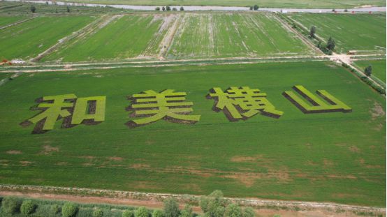 新时代黄河故事丨绿色覆荒垣清流出深涧黄河流域生态保护与高质量发展的榆林实践(图3)