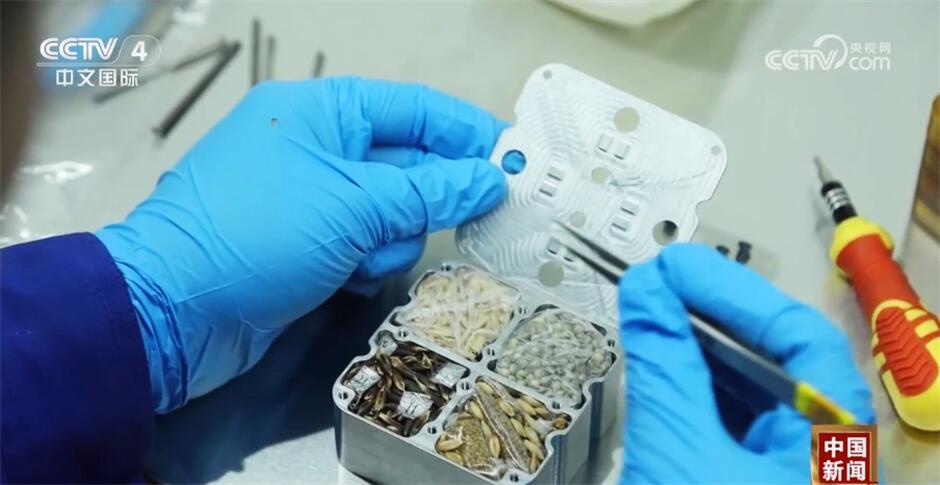 增信心、强底气中国空间站第六批科学实验样品交付(图2)