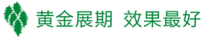 共襄盛举智造未来启航广州国际泵阀流体展新华章(图2)