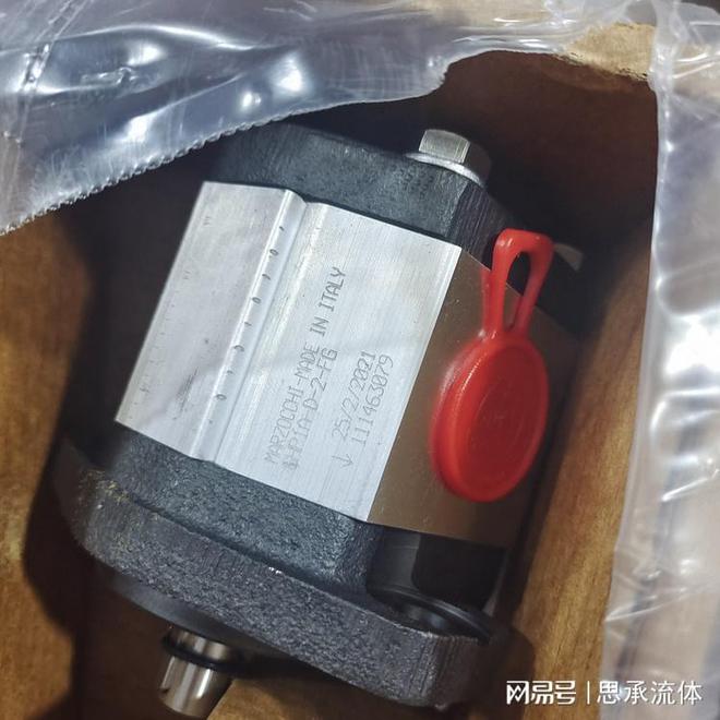 意大利MARZOCCHI马祖奇泵GHP1A-D-5-FG(图3)