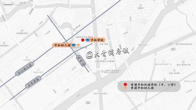 最高105万元学期青浦部分著名民办学校收费标准核定批复(图9)