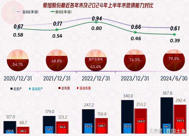 爱旭股份2024年的经营情况不太妙资产结构也不好急盼市场回暖(图14)