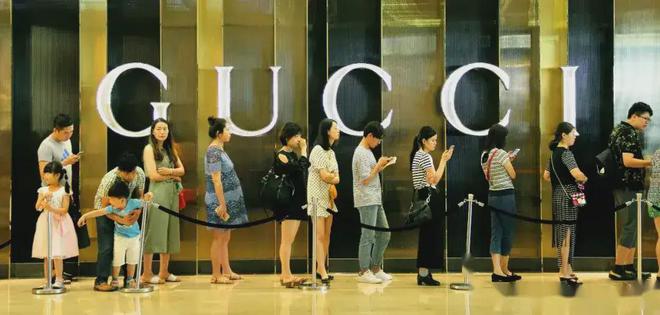 千亿巨头陨落了！曾被炒到1500一粒如今跌至400资本收割惨败(图15)