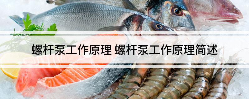 螺杆泵工作原理螺杆泵工作原理简述(图1)