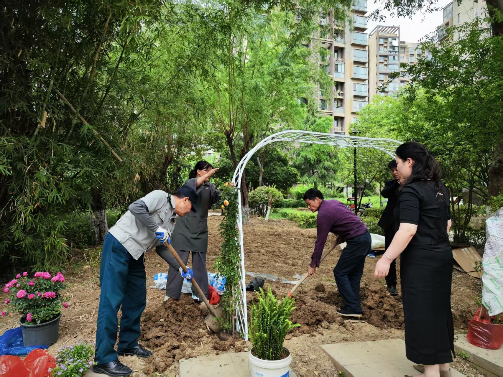 组建团队商讨方案｜芜湖市弋江区橡绿园社区自治组织升级花园蓝图(图2)