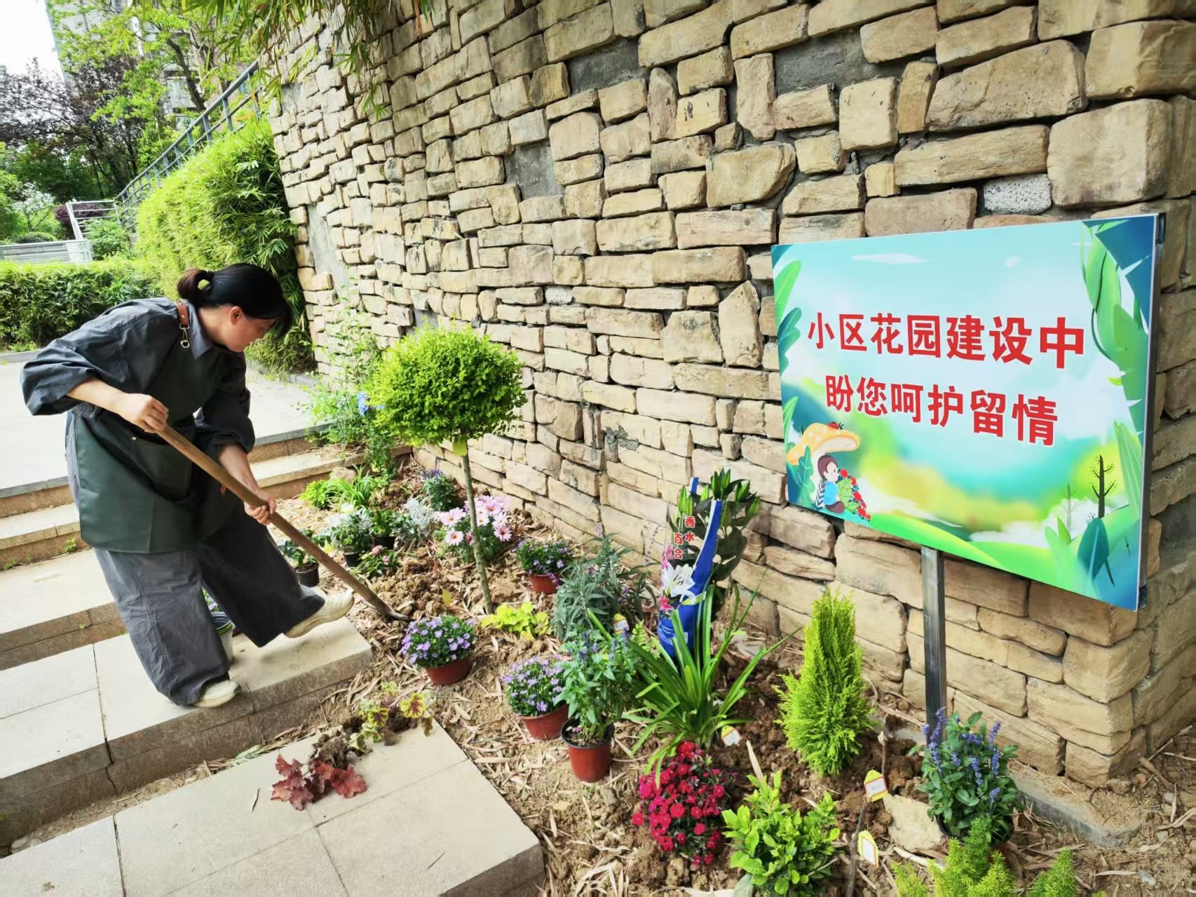组建团队商讨方案｜芜湖市弋江区橡绿园社区自治组织升级花园蓝图(图1)