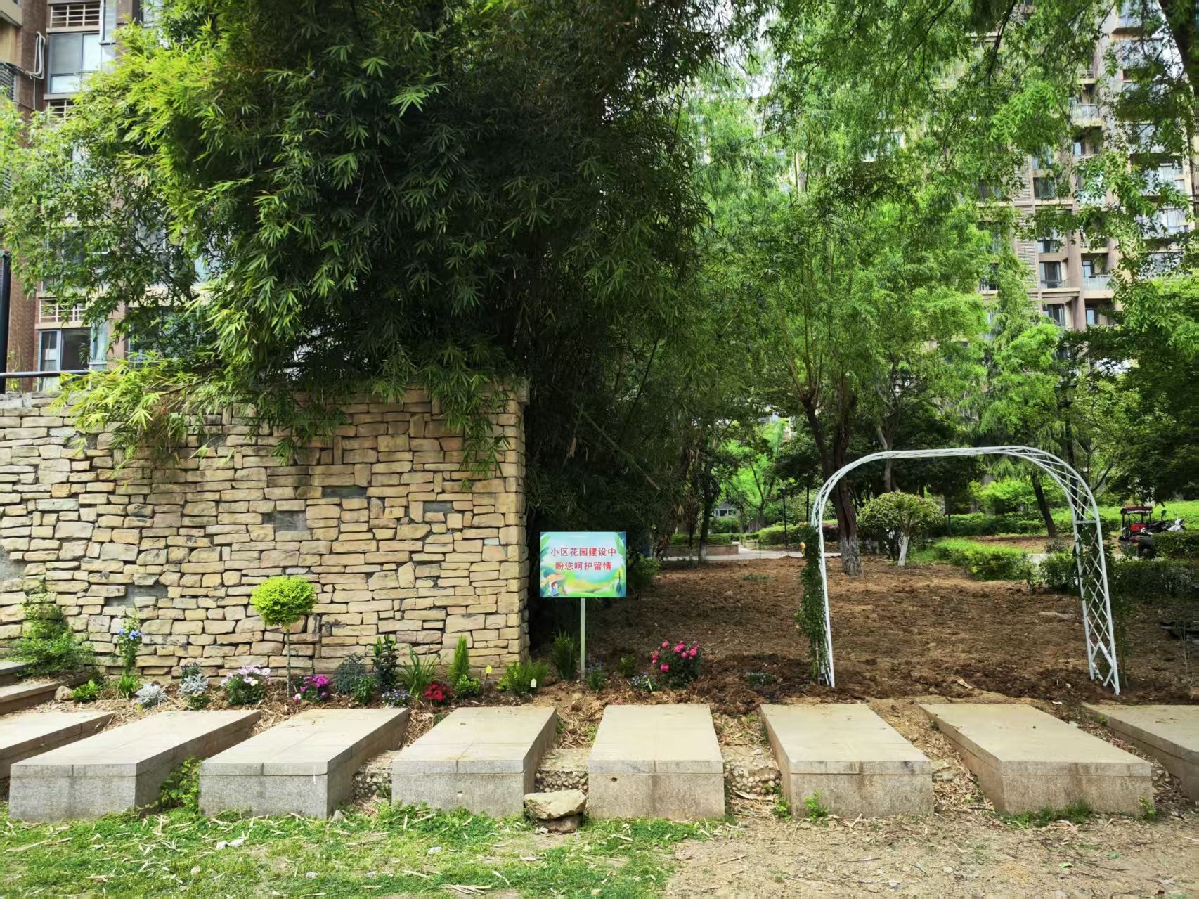 组建团队商讨方案｜芜湖市弋江区橡绿园社区自治组织升级花园蓝图(图4)