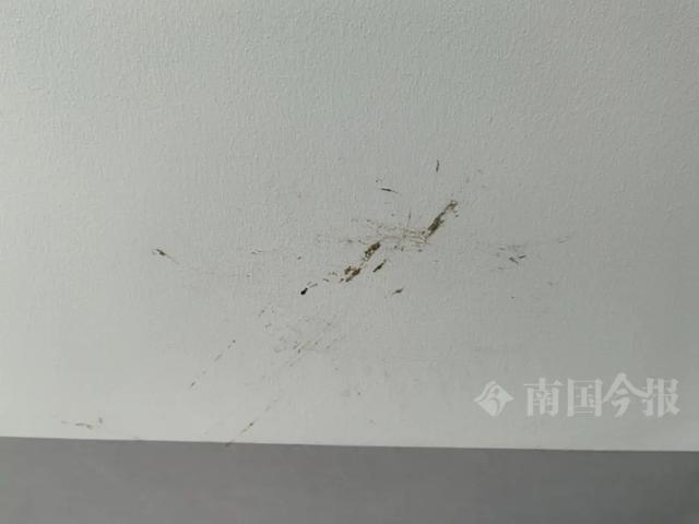 婚房被粪水浸泡！业主崩溃：全屋都是无法接受(图8)