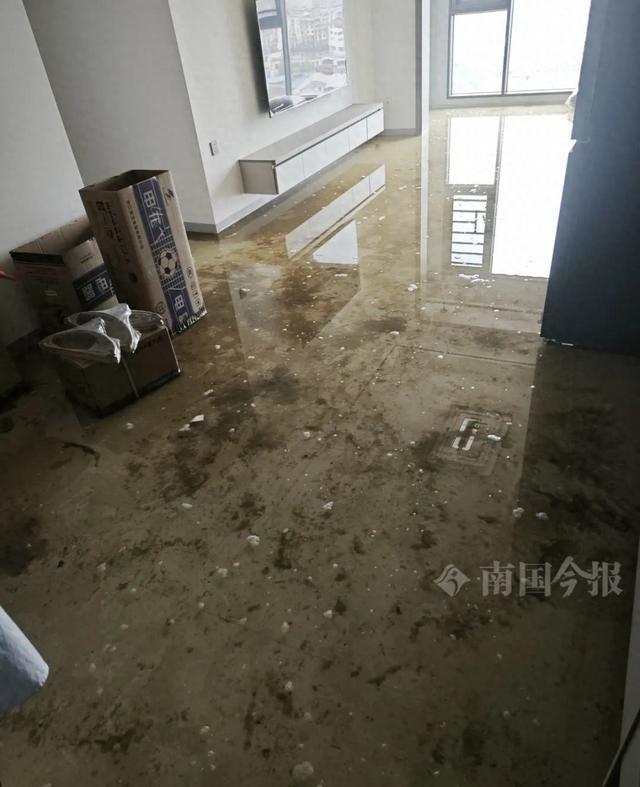 婚房被粪水浸泡！业主崩溃：全屋都是无法接受(图1)
