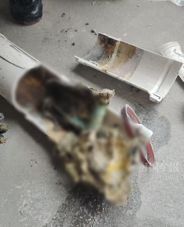 婚房被粪水浸泡！业主崩溃：全屋都是无法接受(图10)